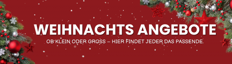 media/image/LP-Banner-Christmas-Deals-2025_1-DE.png